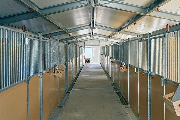 residencia canina las azancas