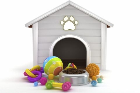 centro canino new alvacan