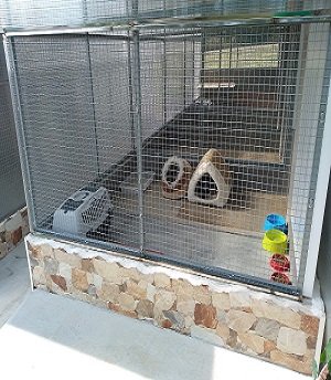 residencia canina can planet