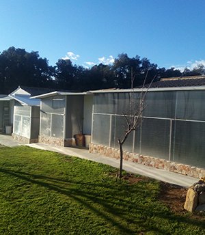 residencia canina can planet