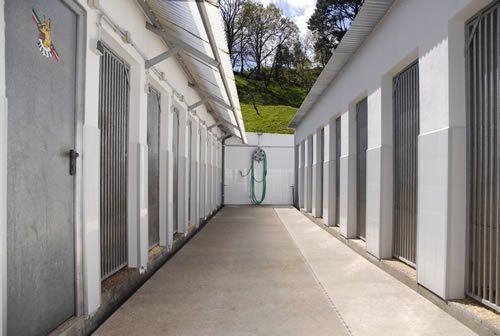 residencia canina besaya