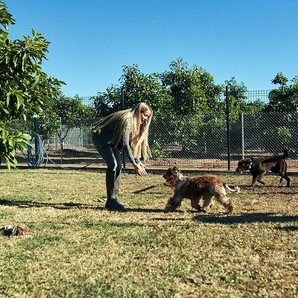 residencia canina las azancas