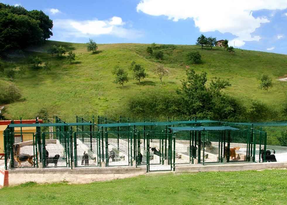 residencia canina besaya
