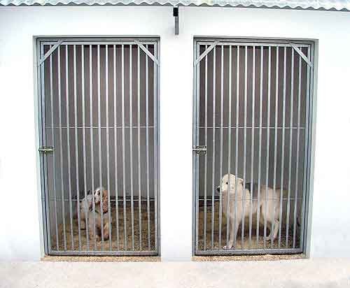 residencia canina besaya