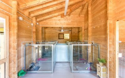residencia canina alis