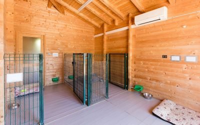 residencia canina alis