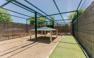 residencia canina alis