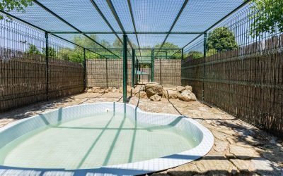 residencia canina alis