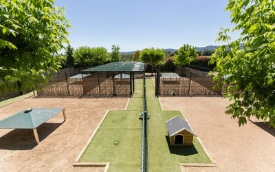 residencia canina alis