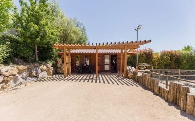 residencia canina alis
