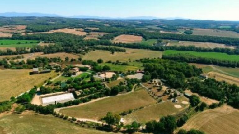 Residencia Canina Alis – residencia canina en Girona