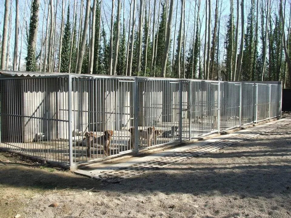 residencia canina la devesa