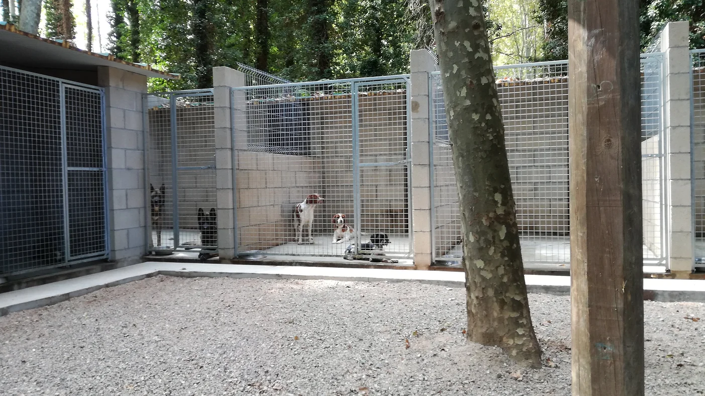 residencia canina la devesa