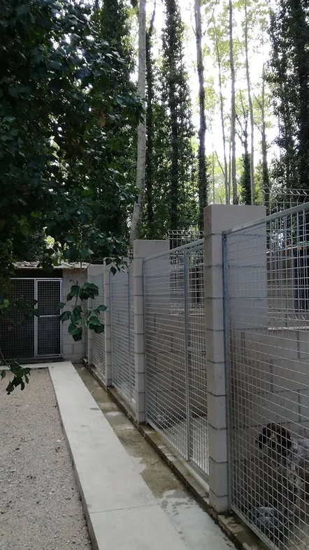 residencia canina la devesa