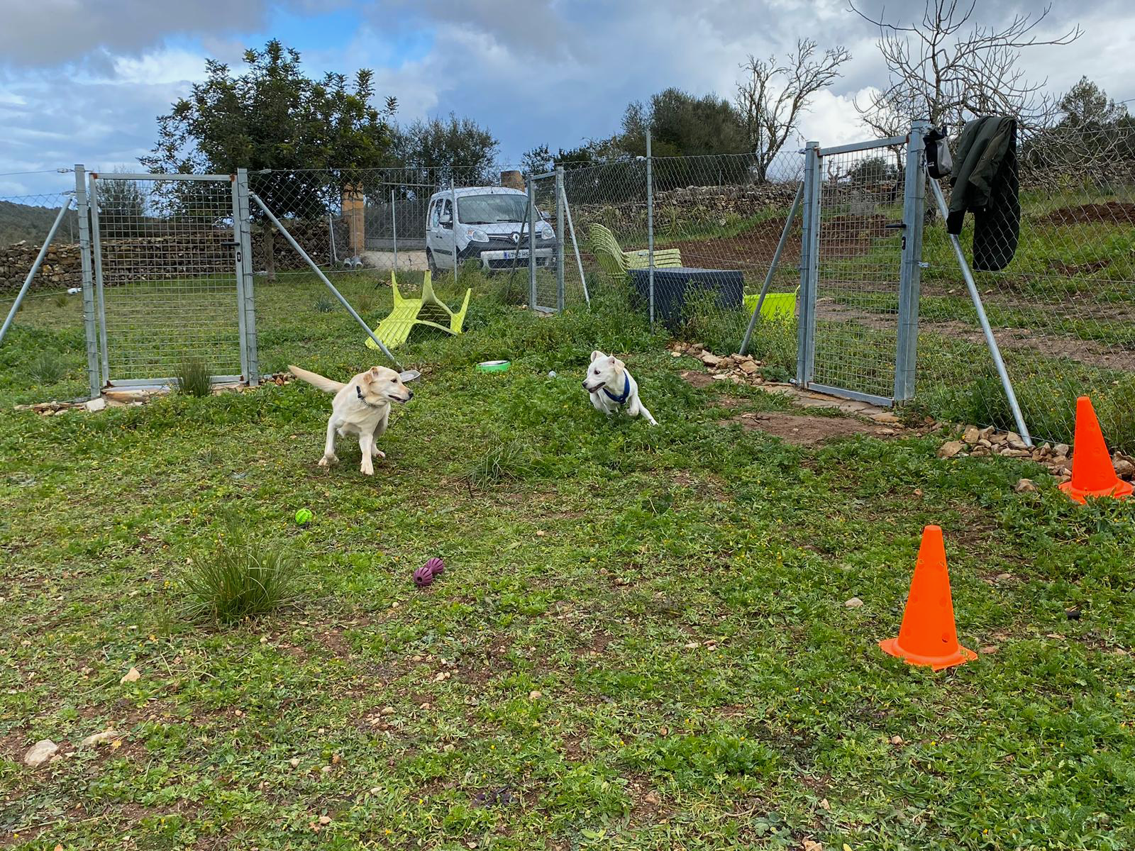 residencia canina nescap