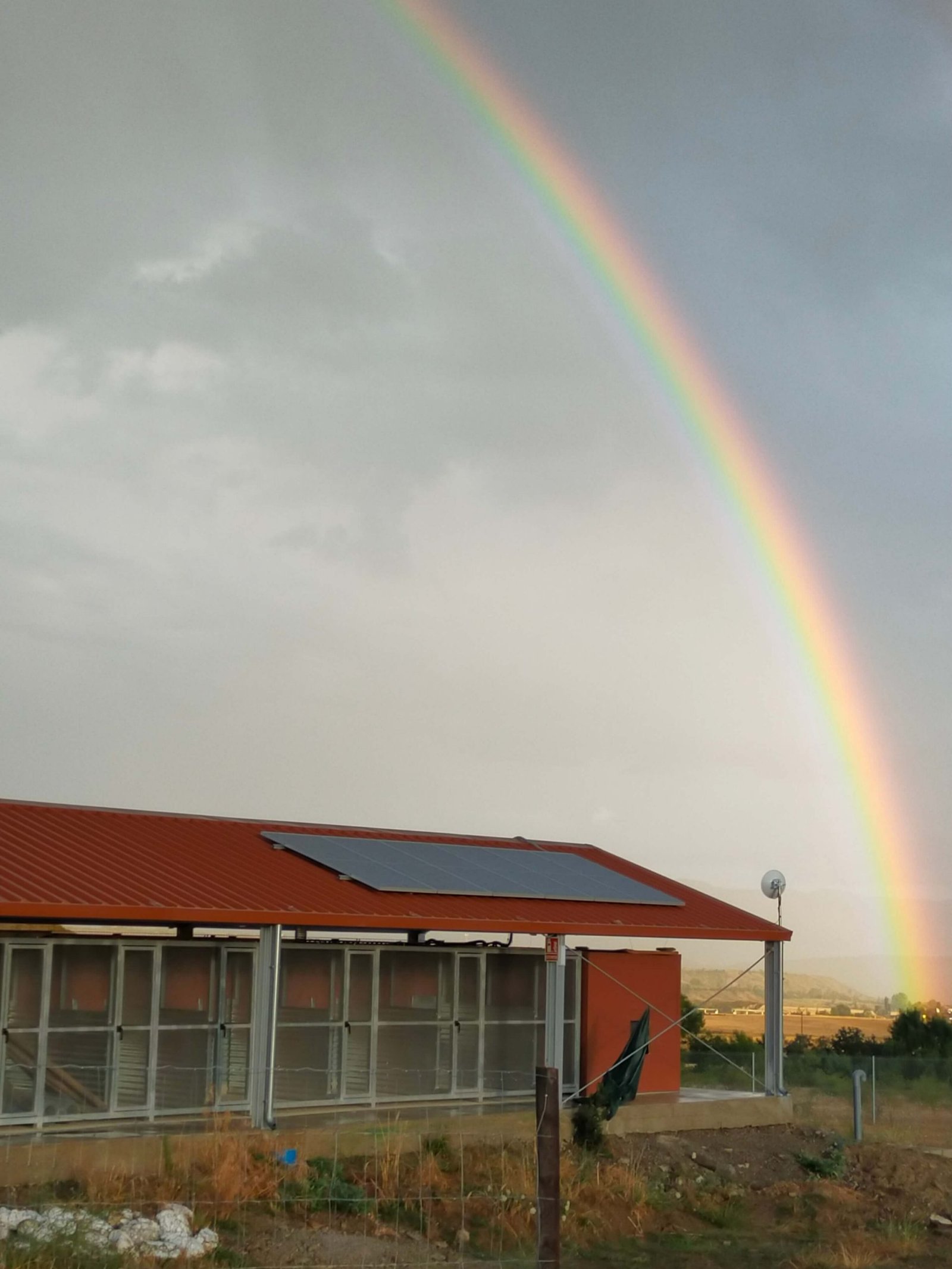 residencia canina luna mon