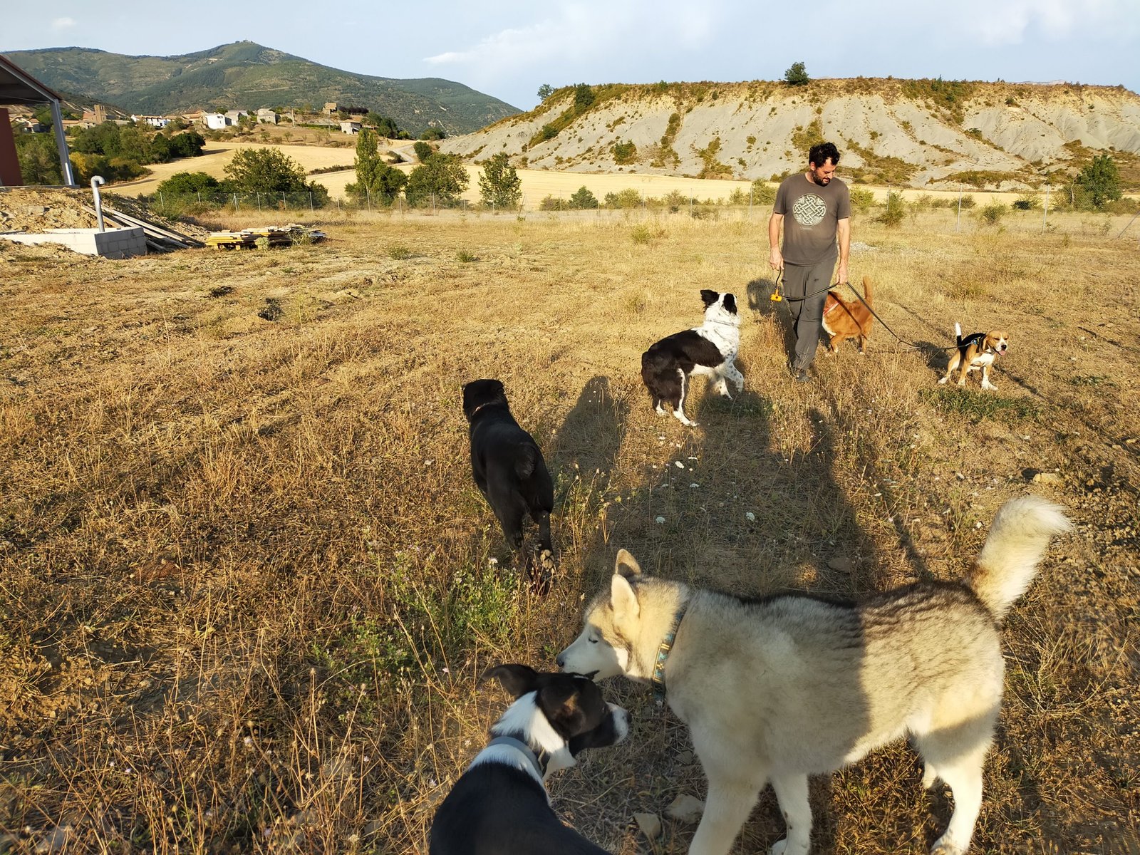 residencia canina luna mon