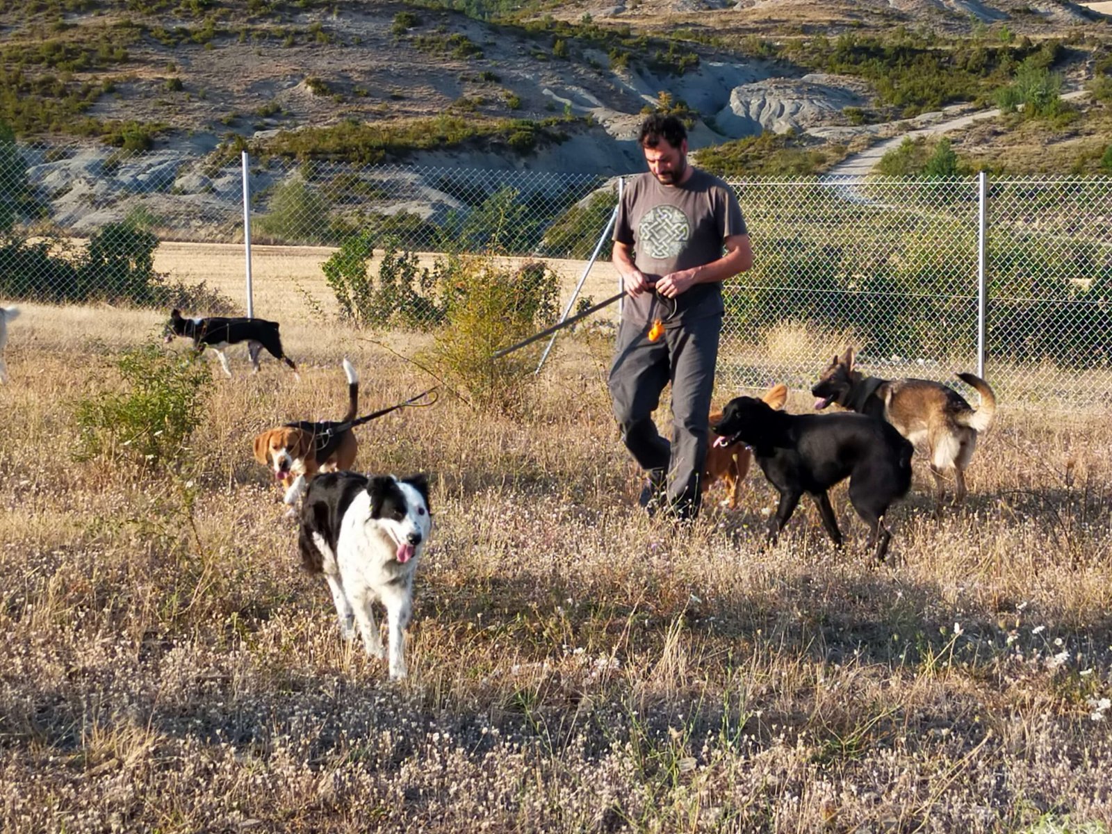 residencia canina luna mon