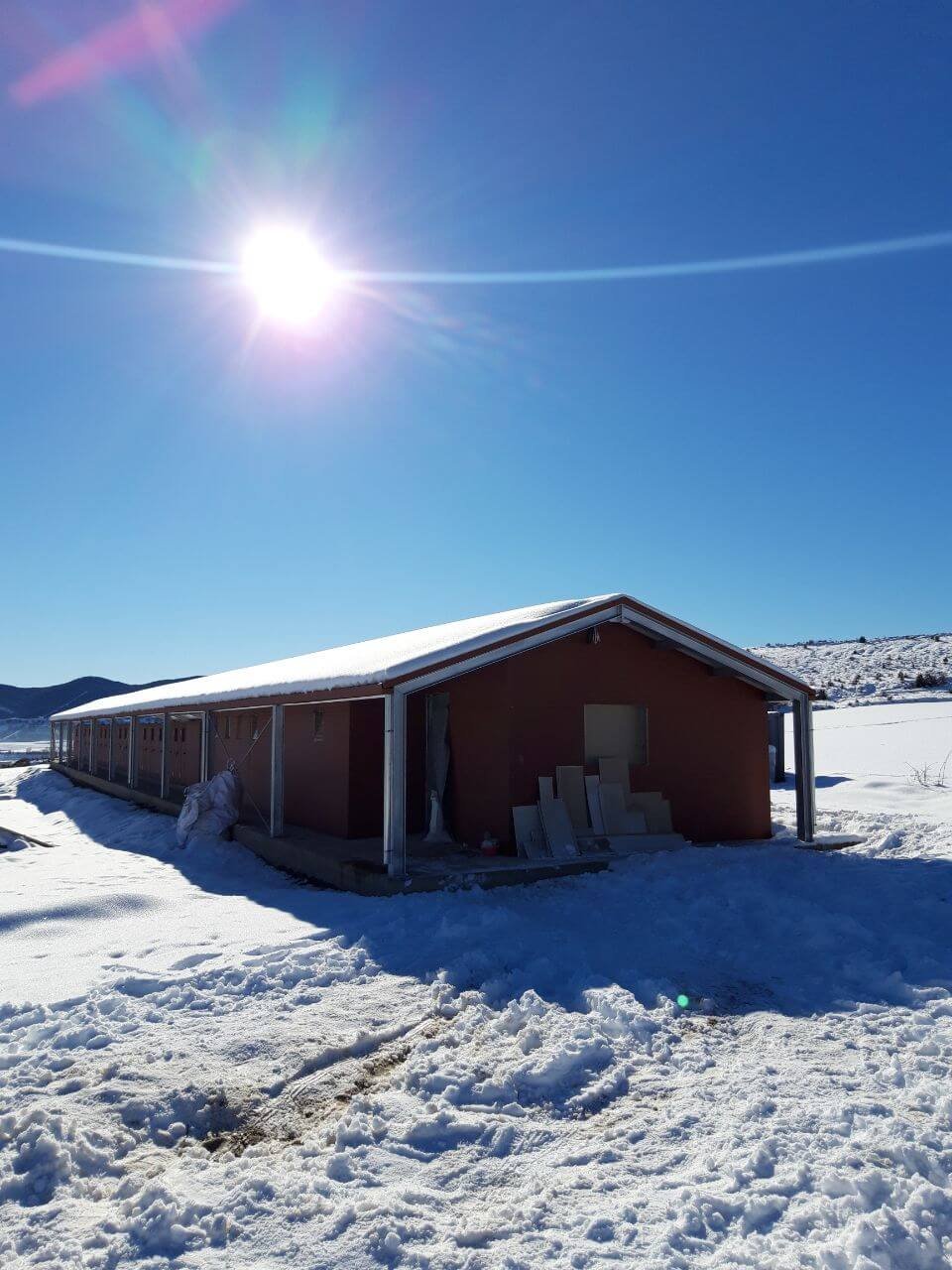 residencia canina luna mon