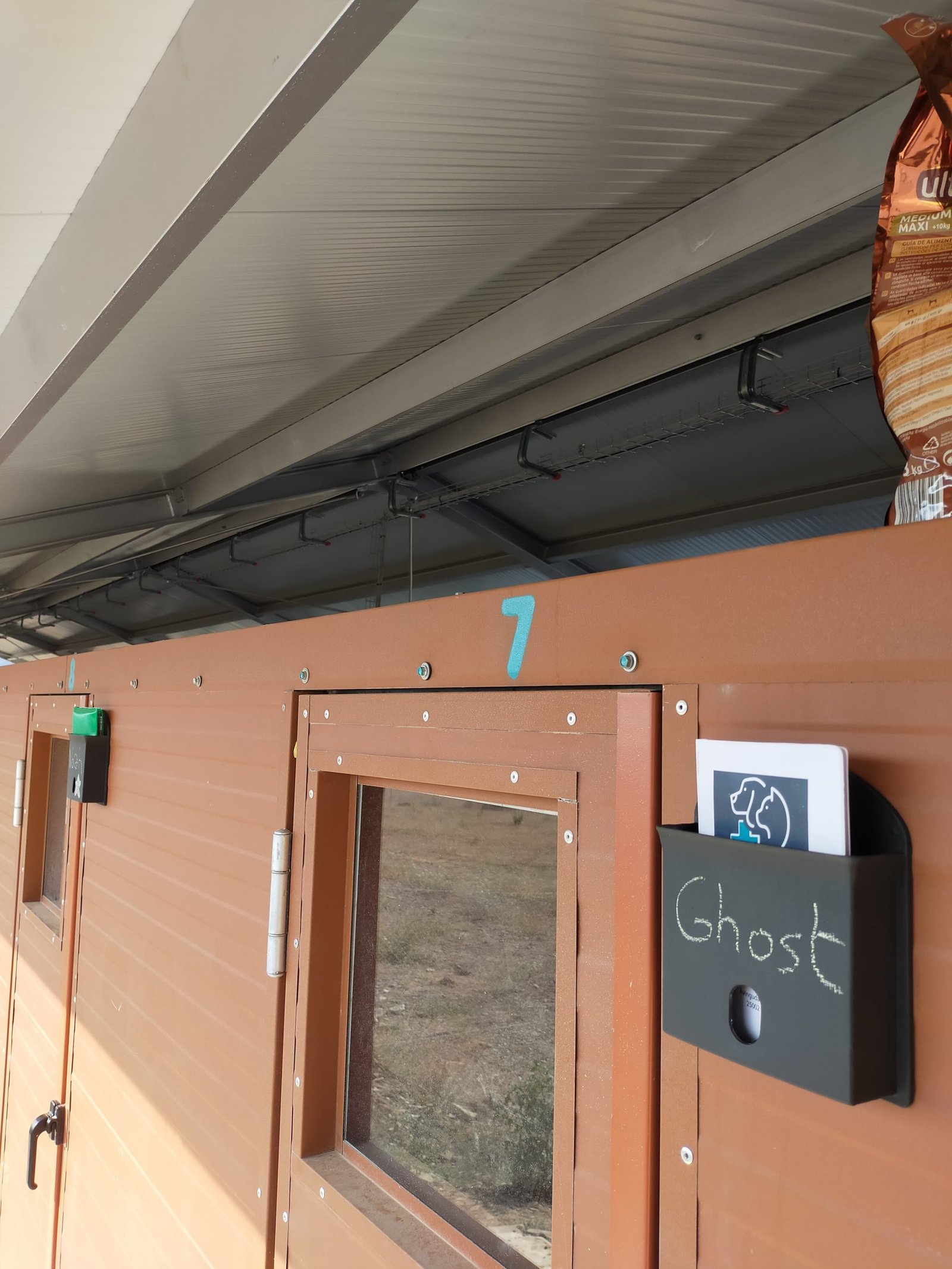 residencia canina luna mon