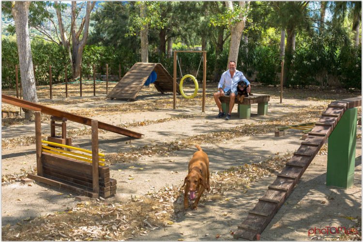 residencia canina sweet home