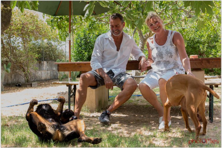 residencia canina sweet home