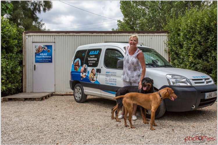 residencia canina sweet home