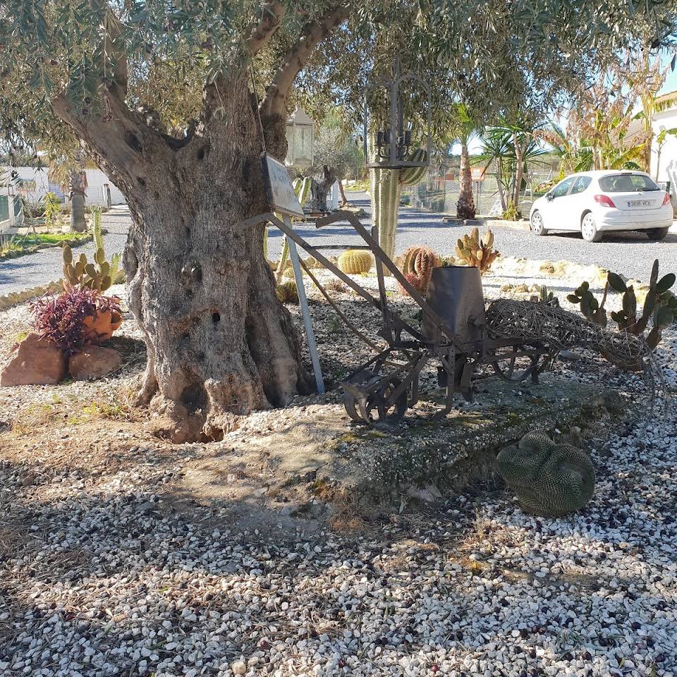 residencia canina ivsanco