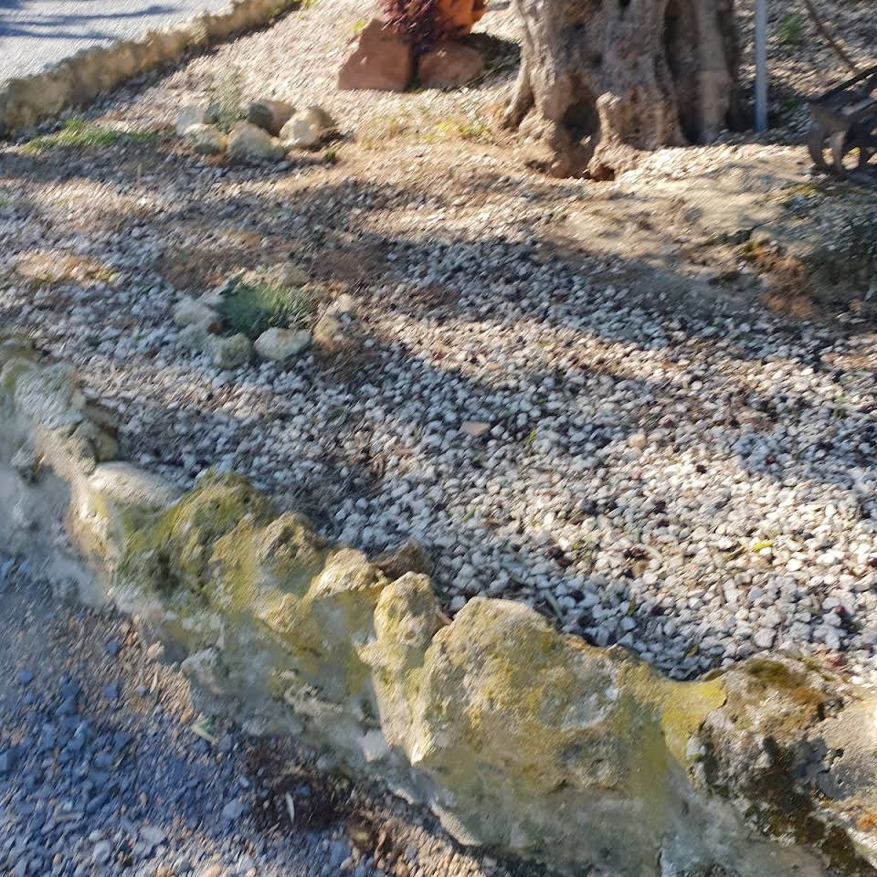 residencia canina ivsanco