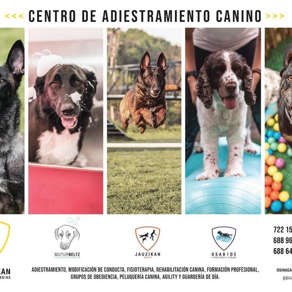 residencia canina san sebastian