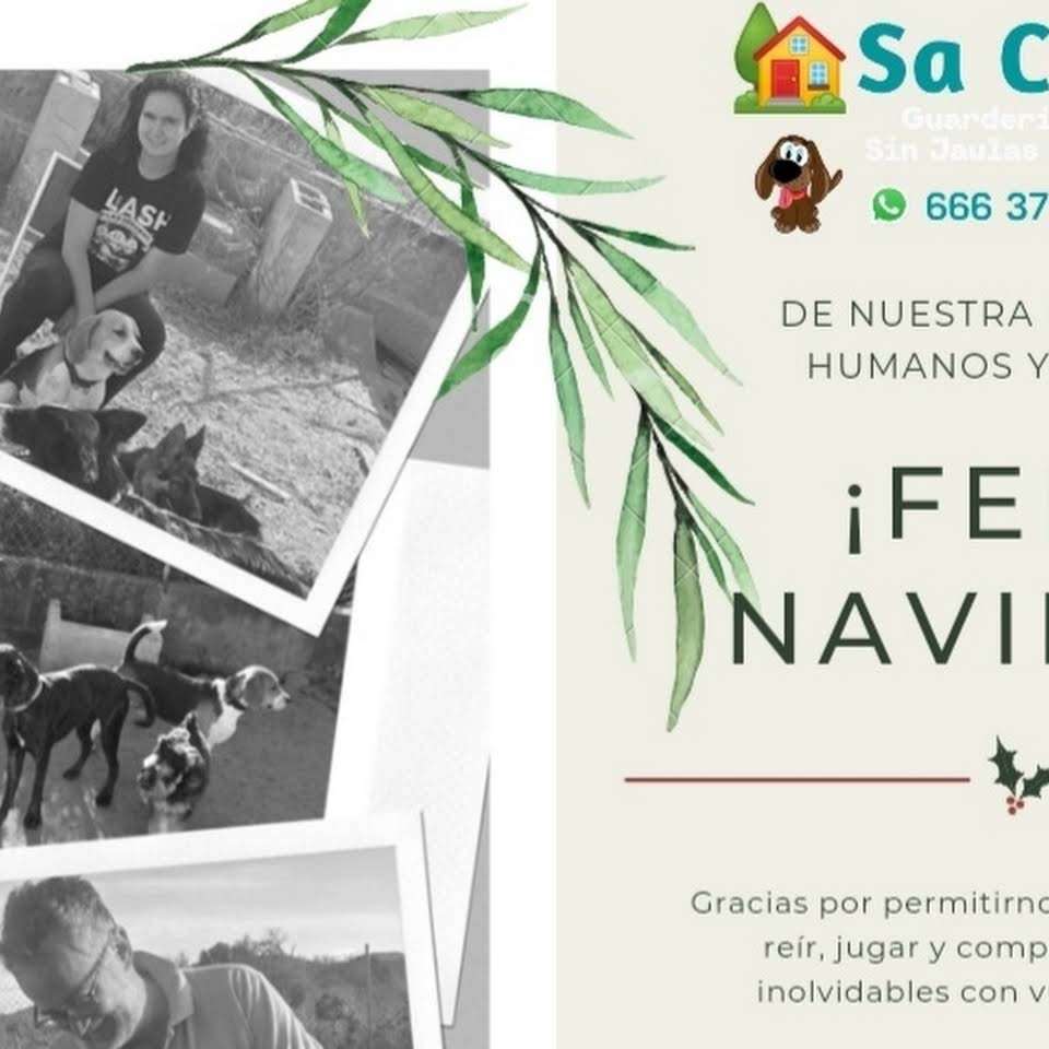 guardería canina sa caseta