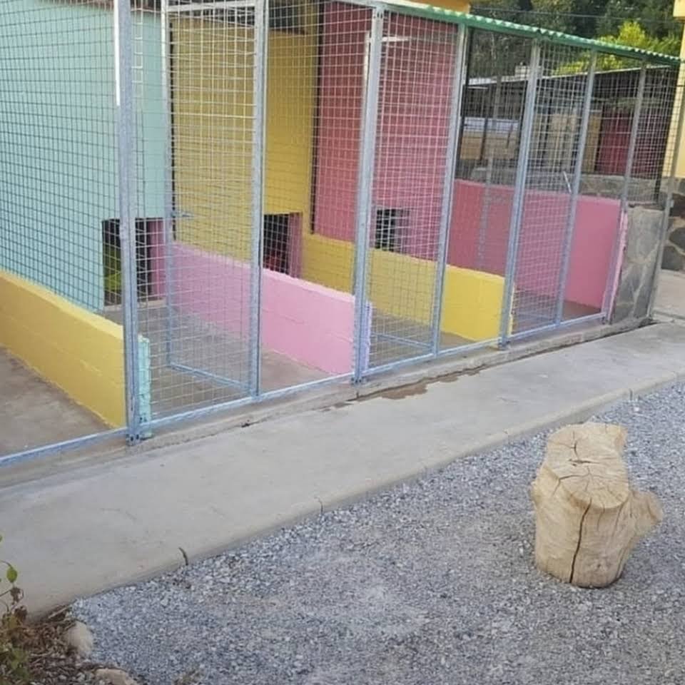 centro canino fontagria