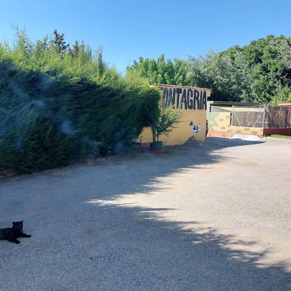 centro canino fontagria