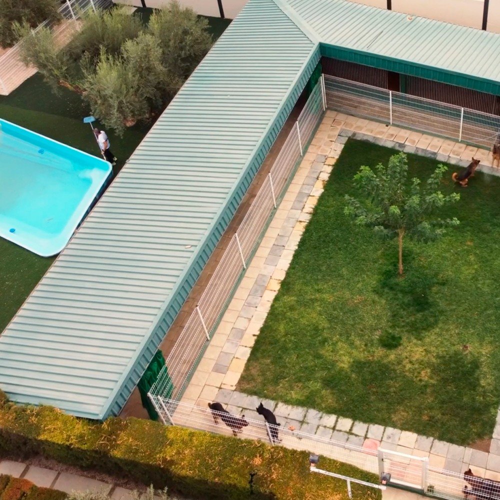residencia canina ecoanimalia