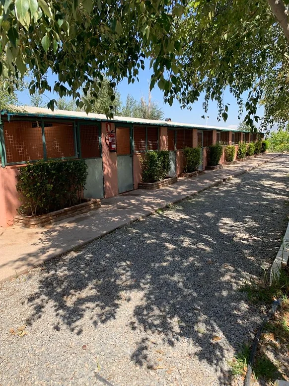residencia canina las chiveas