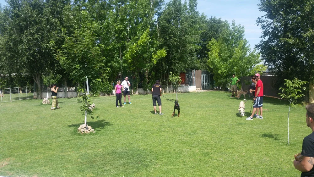 residencia canina las chiveas