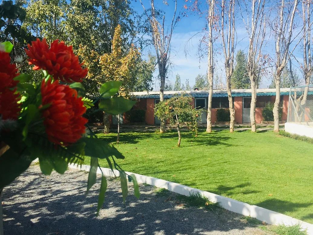 residencia canina las chiveas