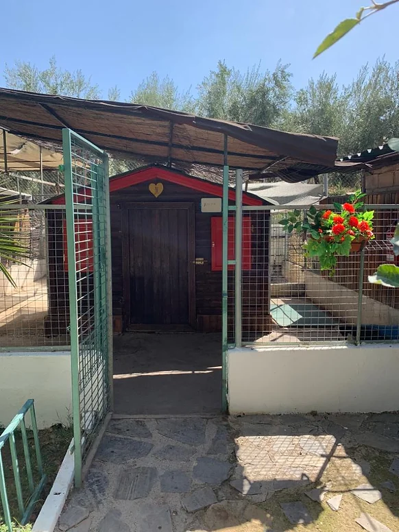 residencia canina las chiveas