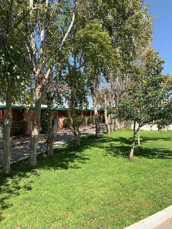 residencia canina las chiveas