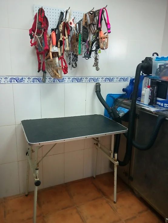 residencia canina aimar