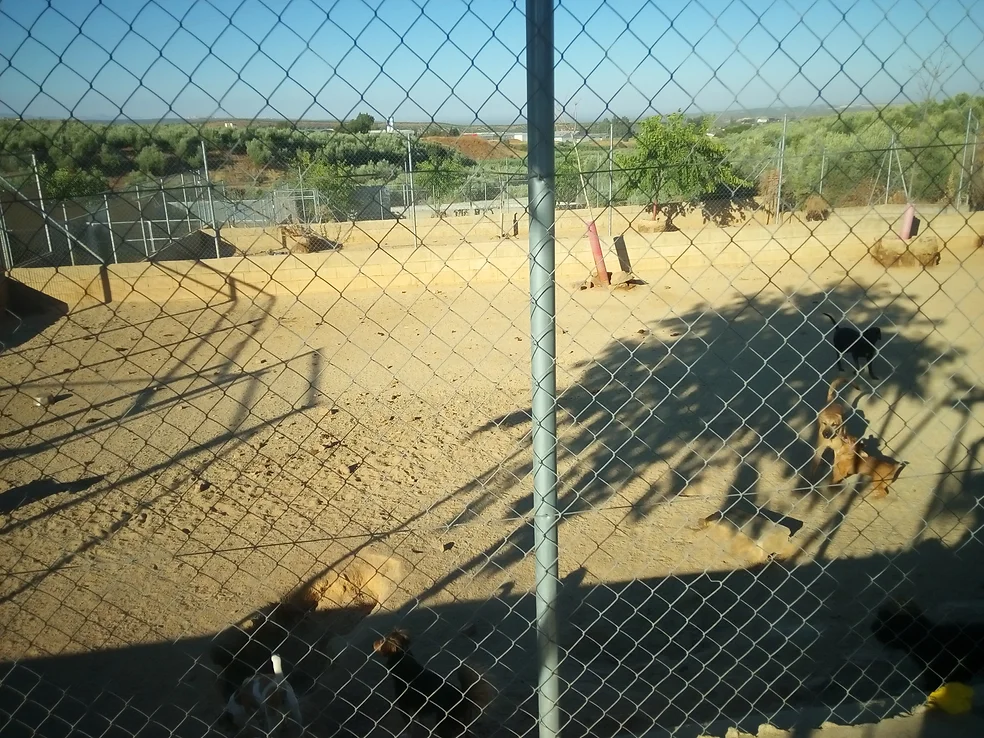 residencia canina aimar