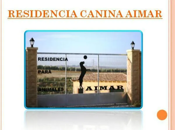 residencia canina aimar