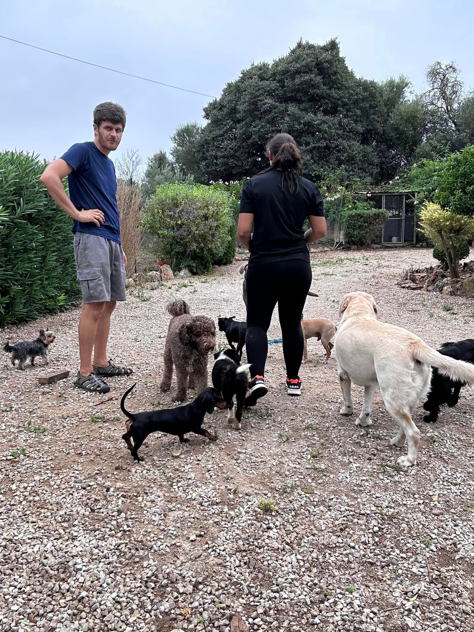 residencia canina sa ca nina
