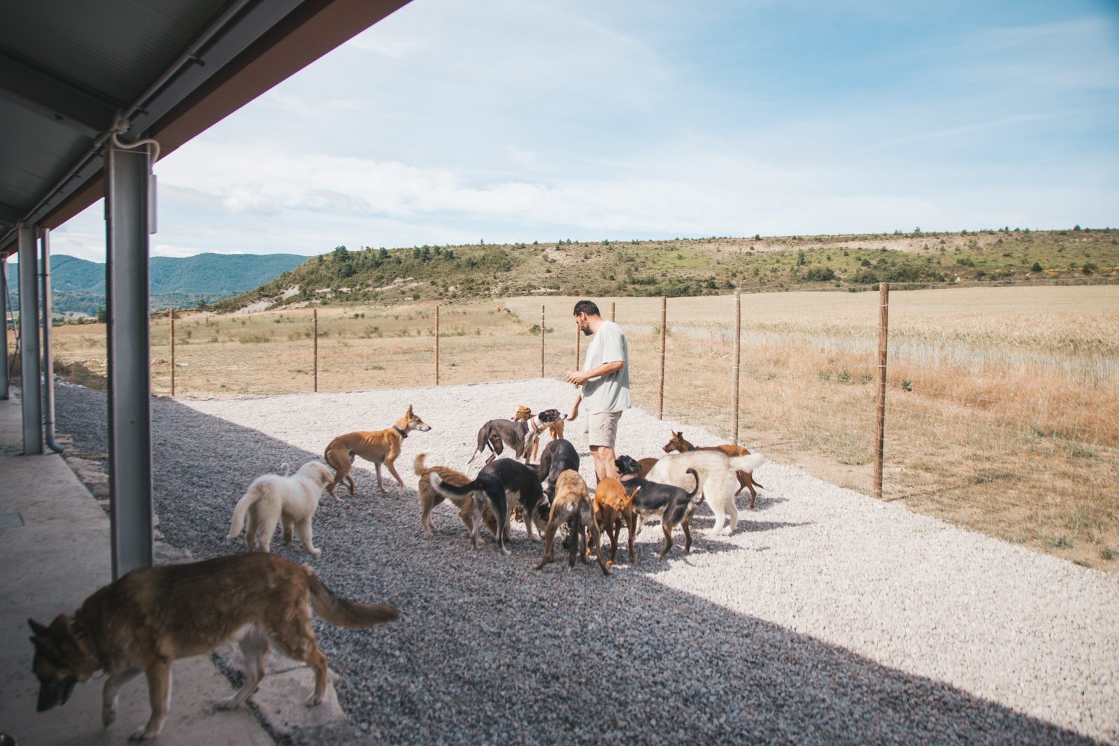 residencia canina luna mon