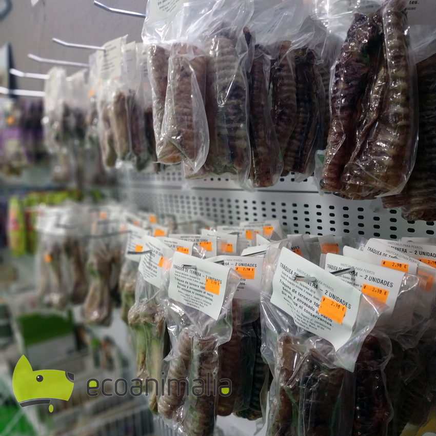 residencia canina ecoanimalia