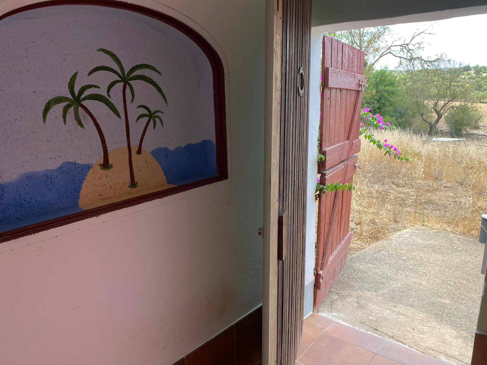 residencia canina nescap