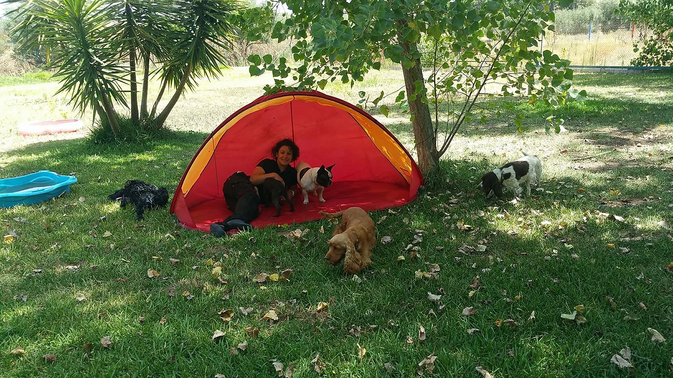 residencia canina sur can