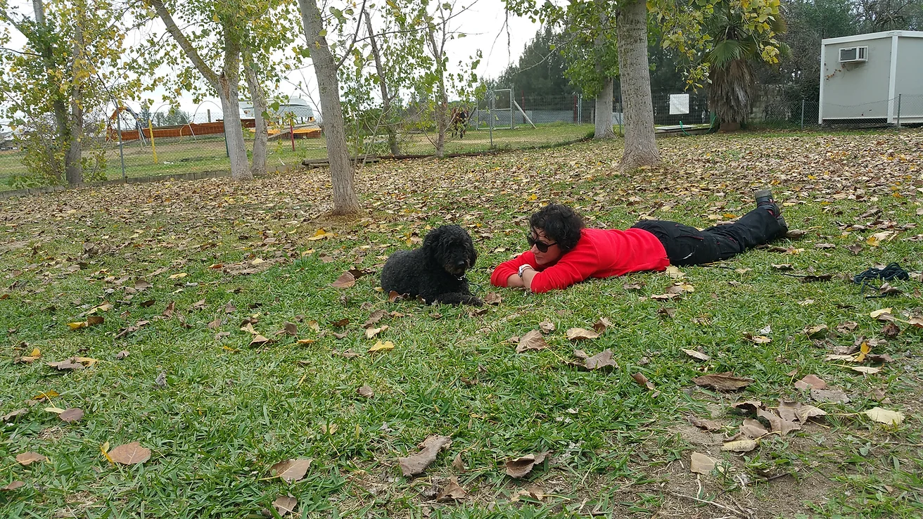 residencia canina sur can