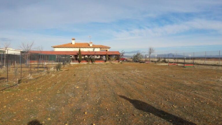 Centro Canino Rivendel – residencia canina en Guadalajara
