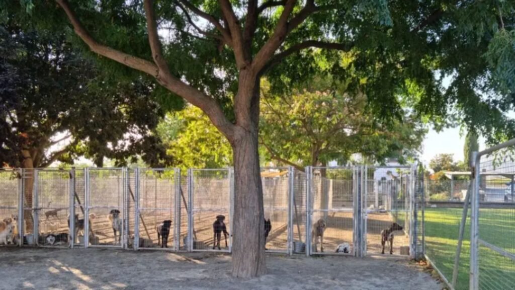 residencia canina sagasta